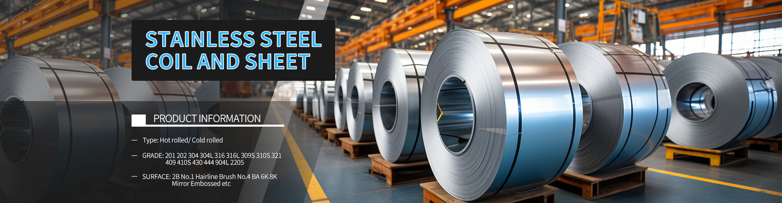 Stainless Steel Strip Coils